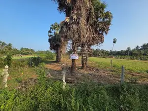 கரவெட்டியில் வீடு / கடை கட்ட ஏற்ற 5 பரப்புக் காணி விற்பனைக்கு
