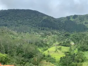 Mountain View Lands for Sale in Delthota