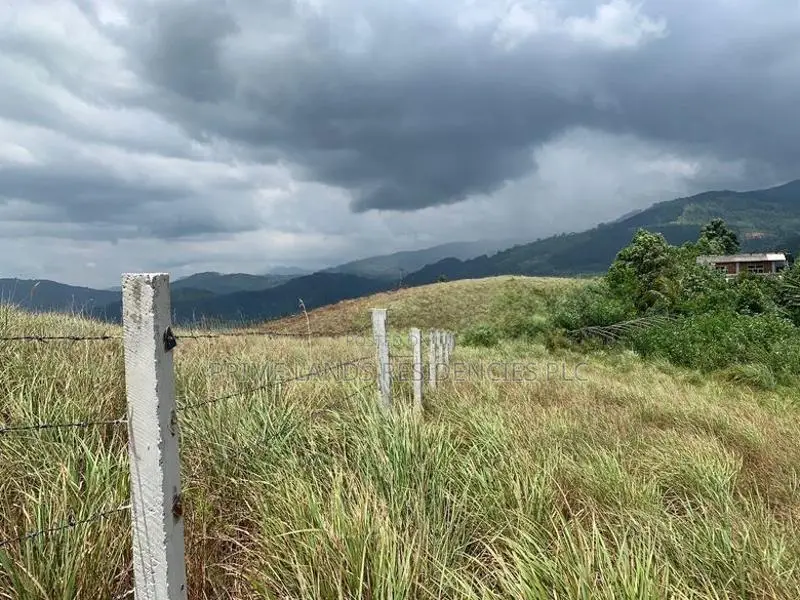 Mountain View Lands for Sale in Delthota