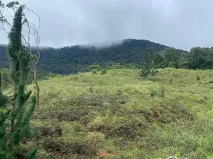 Mountain View Lands for Sale in Delthota