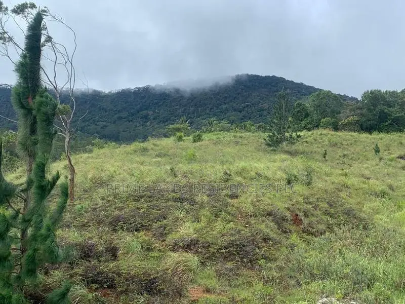 Mountain View Lands for Sale in Delthota