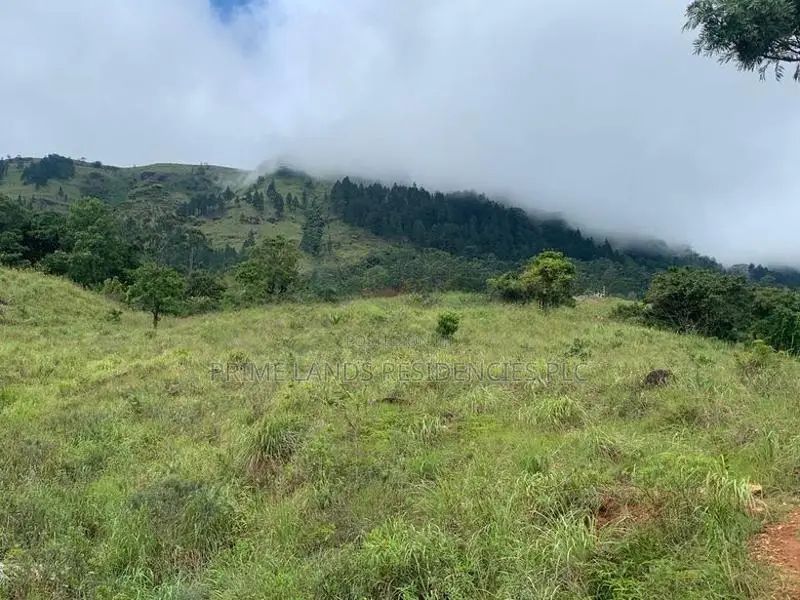 Mountain View Lands for Sale in Delthota