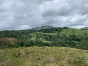 Mountain View Lands for Sale in Delthota