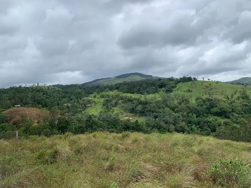 Mountain View Lands for Sale in Delthota