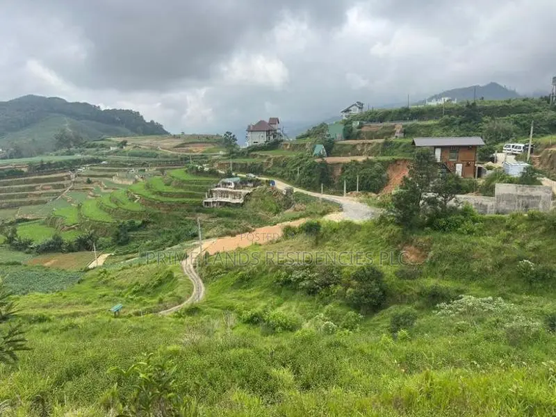 Lands for Sale in Ambewela