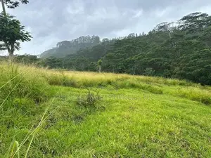 Lands for Sale in Pussellawa