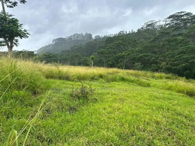 Lands for Sale in Pussellawa