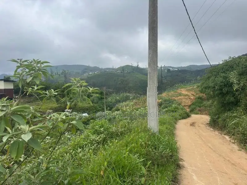 Lands for Sale in Ambewela
