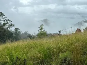 Lands for Sale in Pussellawa