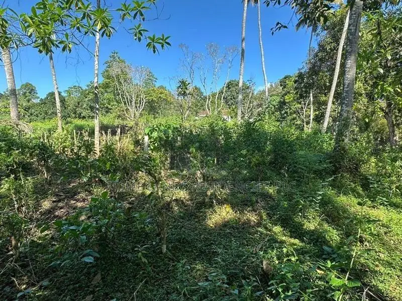 Lands for Sale in Gelioya