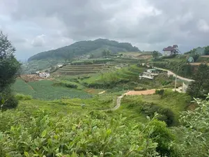 Lands for Sale in Ambewela