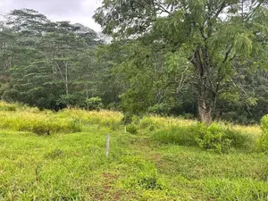 Lands for Sale in Pussellawa