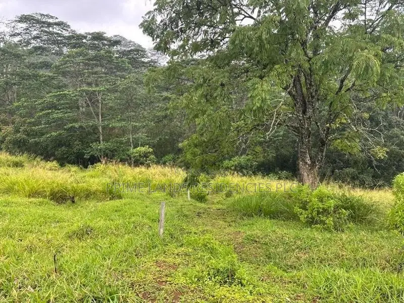 Lands for Sale in Pussellawa