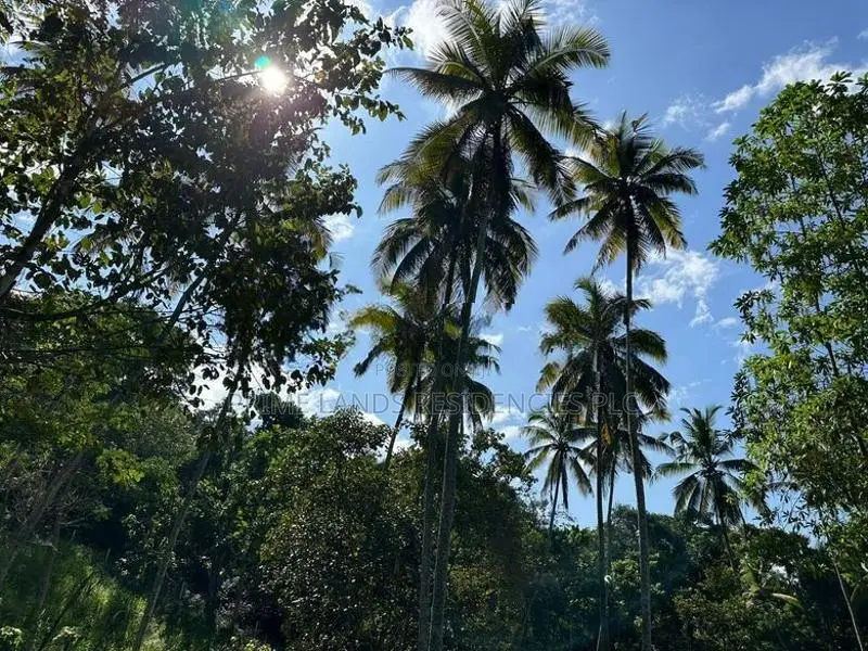 Lands for Sale in Gelioya