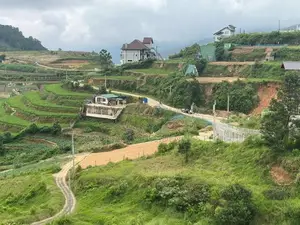 Lands for Sale in Ambewela