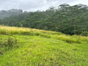 Lands for Sale in Pussellawa