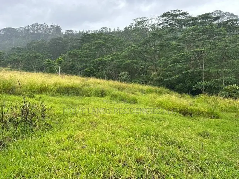Lands for Sale in Pussellawa