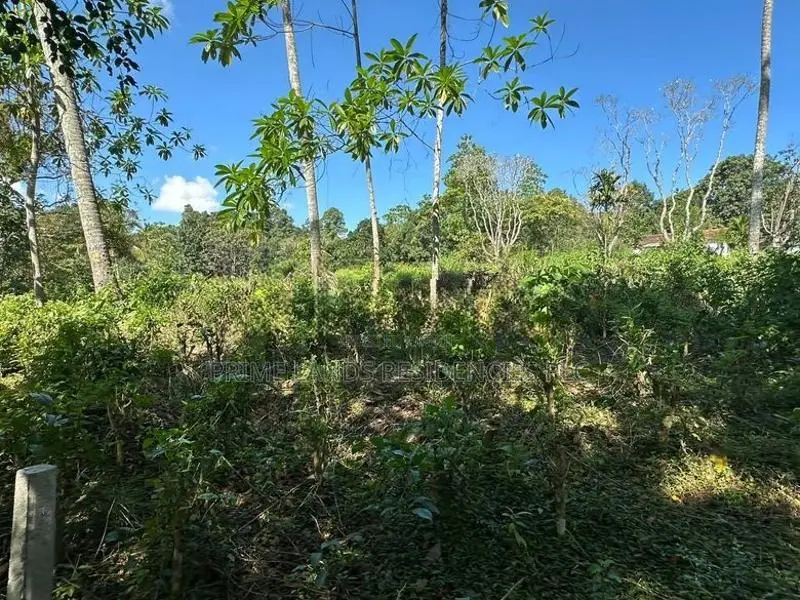 Lands for Sale in Gelioya