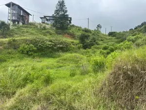 Lands for Sale in Ambewela