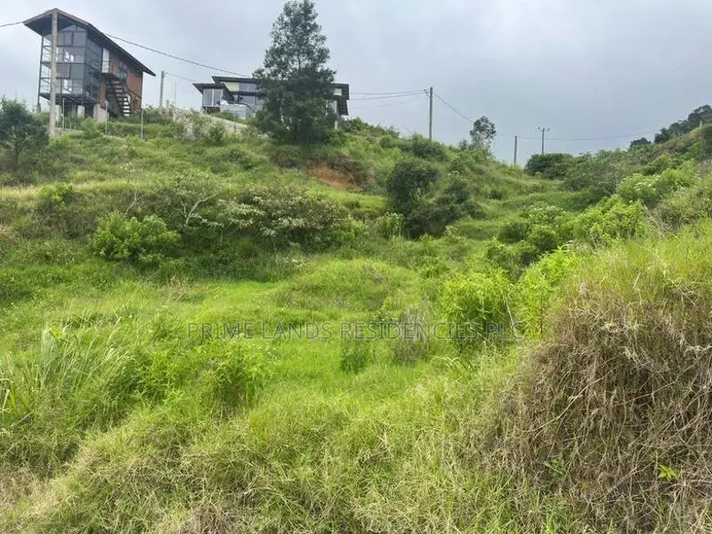 Lands for Sale in Ambewela
