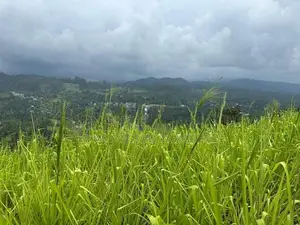 Lands for Sale in Pussellawa