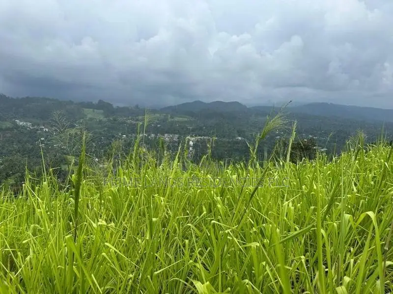 Lands for Sale in Pussellawa