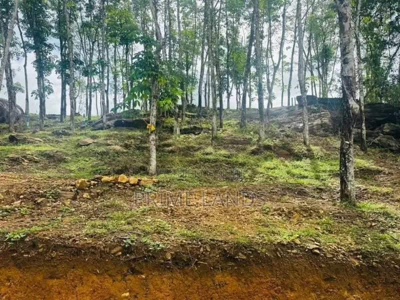 Valuable Lands for Sale in Ballapitiya