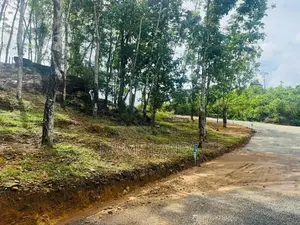 හොරන නගරයටළගින් වටිනා බිම්කොටස්