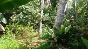 Land with A House for Sale in Polgasowita (SSPL-488)