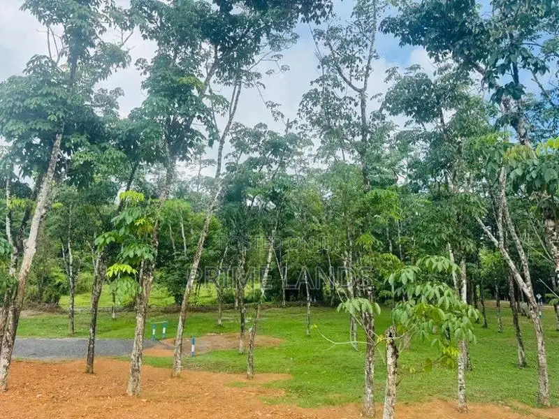 බැල්ලපිටිය වල්පිට පාරෙන් වටිනා බිම්කොටස් විකිනීමට