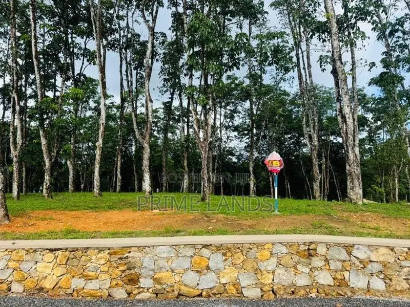බැල්ලපිටිය වල්පිට පාරෙන් වටිනා බිම්කොටස් විකිනීමට