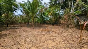 ඌරාපොල – බෝපැත්තෙන් වටිනා බිම් කොටසක් / RU 12885