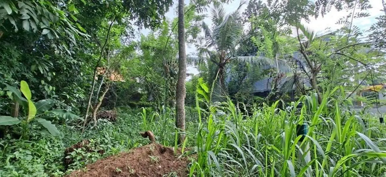 Land for Sale Boralesgamuwa Gangarama Road