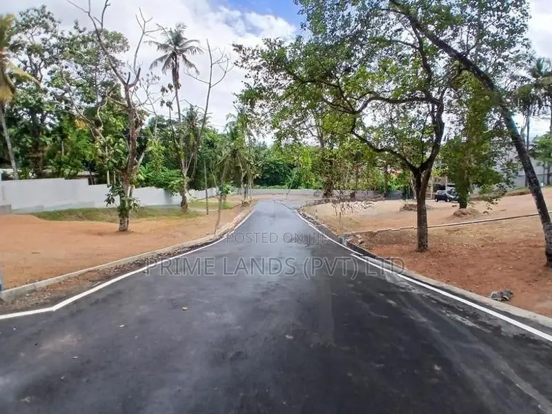 පන්නිපිටිය බිම් කොටසක් විකිණීමට