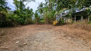 ඌරාපොල – බෝපැත්තෙන් වටිනා බිම් කොටසක් / RU 12885