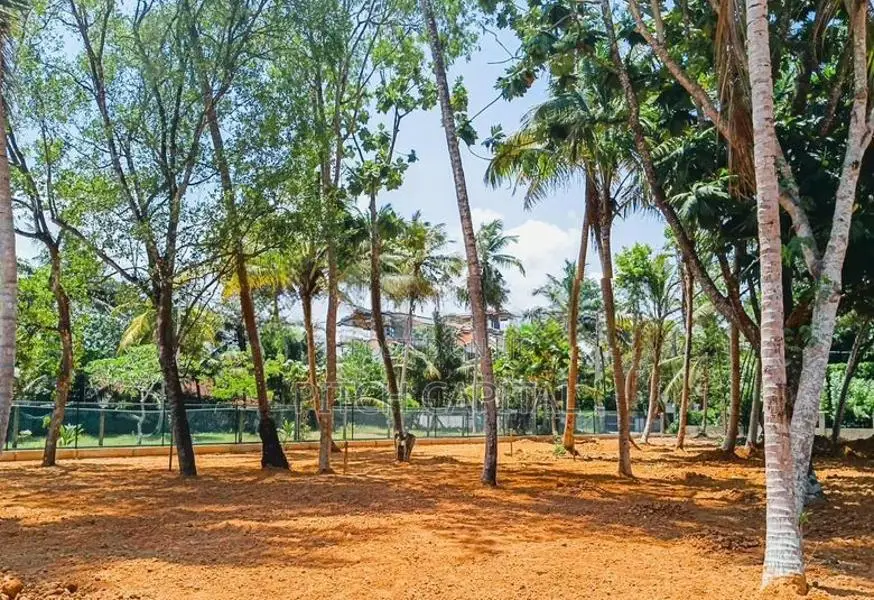 Beach Land for Sale Weligama