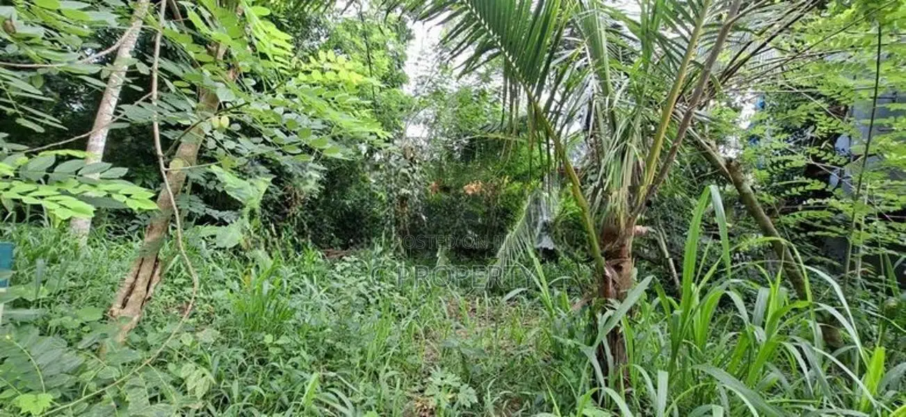 Land for Sale Boralesgamuwa Gangarama Road