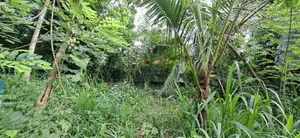 Land for Sale Boralesgamuwa Gangarama Road