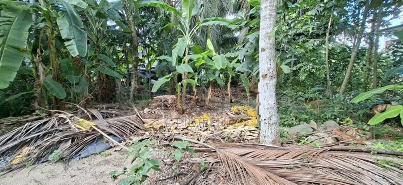 Land for Sale Boralesgamuwa Raththanapitiya