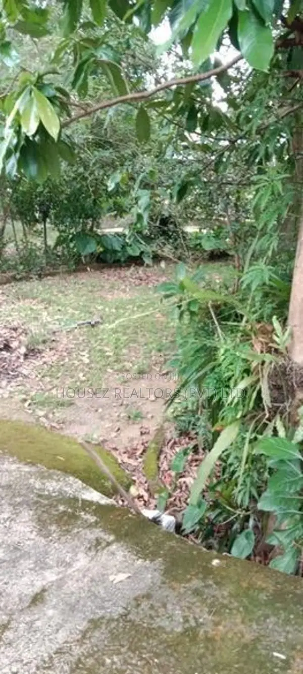 Prime Residential Land for Sale in Pannipitiya – Kendaneha Wattha Road