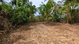 ඌරාපොල – බෝපැත්තෙන් වටිනා බිම් කොටසක් / RU 12885