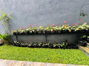 Modern 2 Story House for Sale in Piliyandala