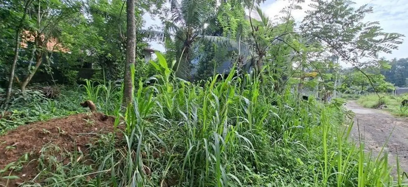 Land for Sale Boralesgamuwa Gangarama Road