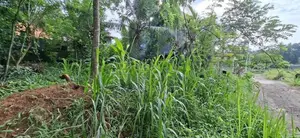 Land for Sale Boralesgamuwa Gangarama Road