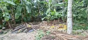 Land for Sale Boralesgamuwa Raththanapitiya