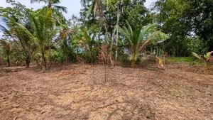 ඌරාපොල – බෝපැත්තෙන් වටිනා බිම් කොටසක් / RU 12885