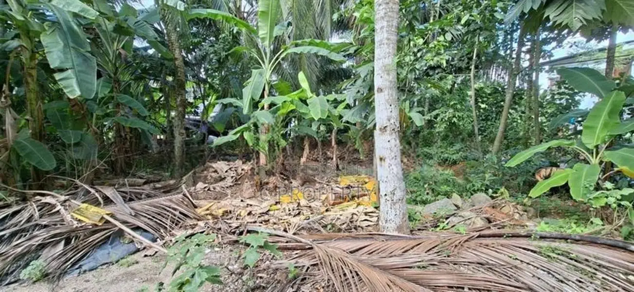Land for Sale Boralesgamuwa Raththanapitiya