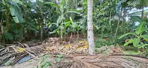 Land for Sale Boralesgamuwa Raththanapitiya