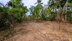 ඌරාපොල – බෝපැත්තෙන් වටිනා බිම් කොටසක් / RU 12885
