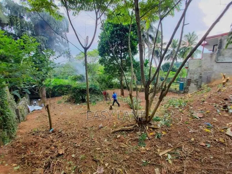 කිරිබත්ගොඩ නගරයට ඇවිද යන දුරින් පර්චස් 16ක ඉඩමක් / RU 14799
